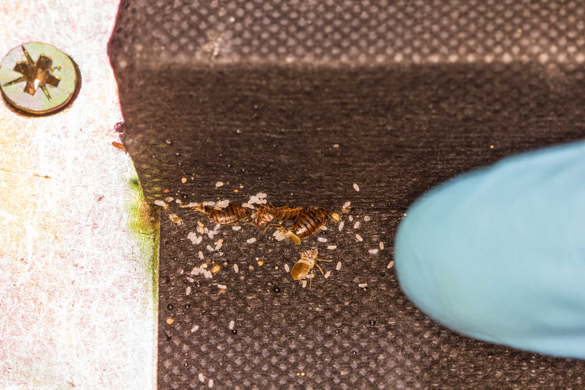 An L Shaped Ledge where the Box Spring would rest.