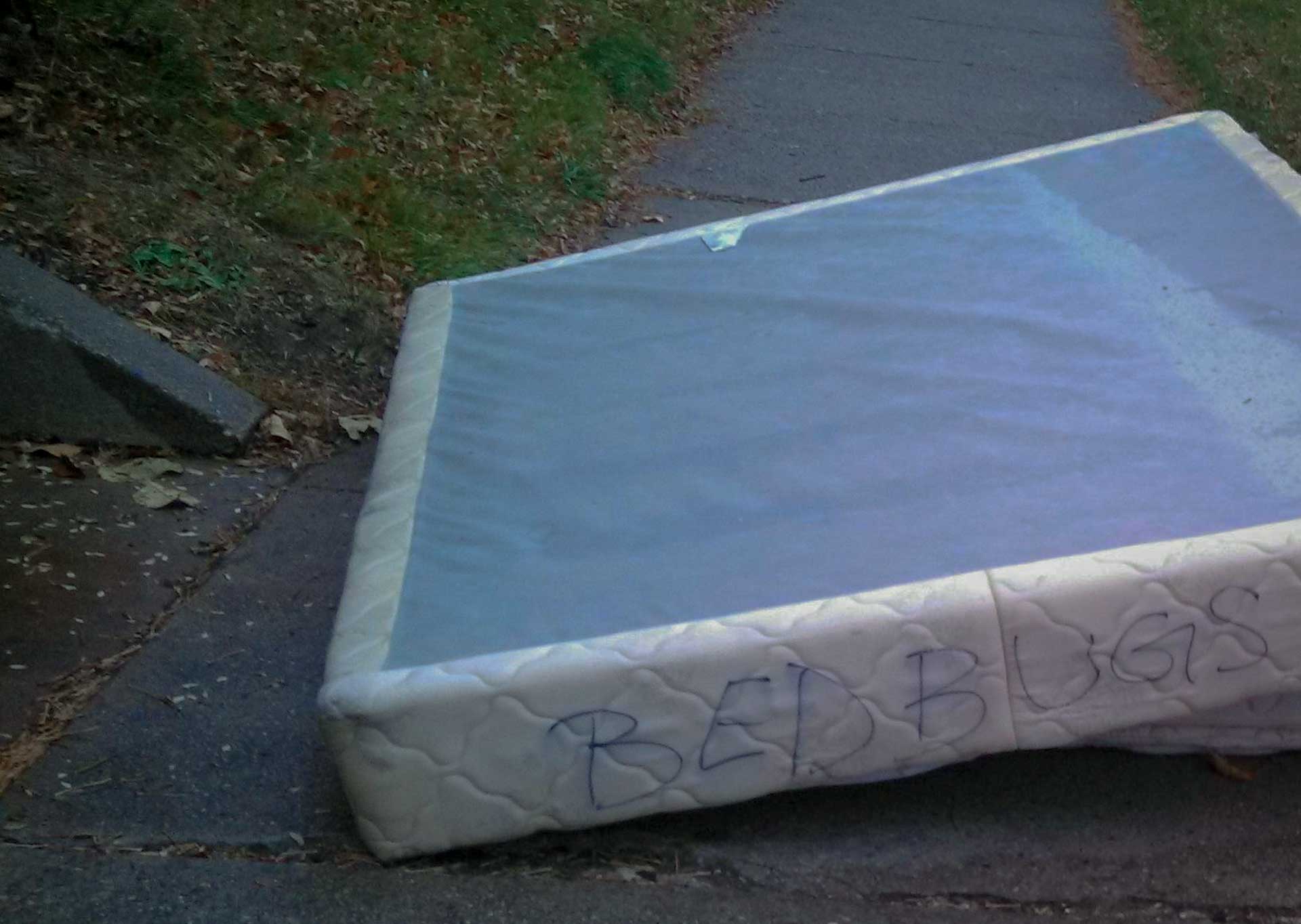 A Box Spring discarded by the curtsied